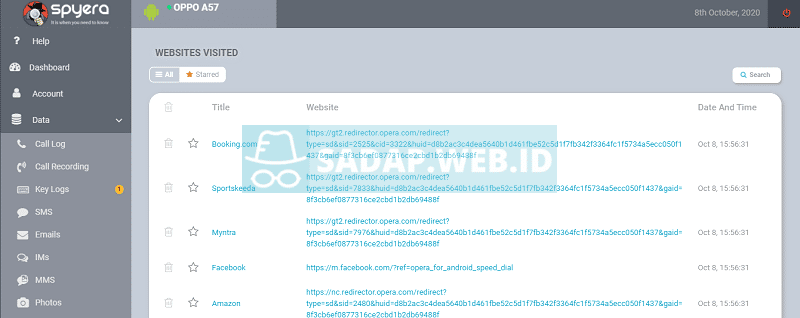 penyadap browser spyera
