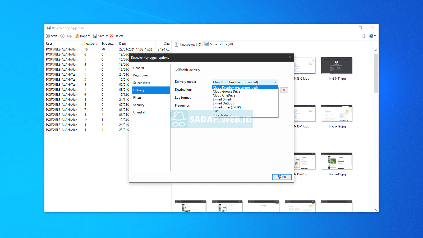 software revealer windows